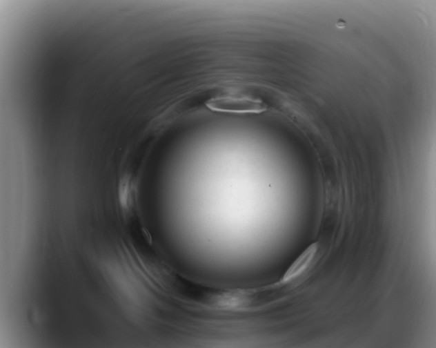 X0000088910094200706151914