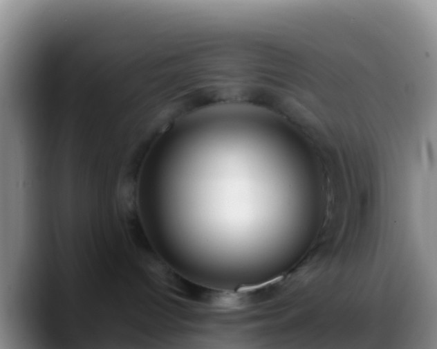 X0000088910096200706151914