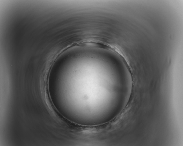 X0000088910097200706151913