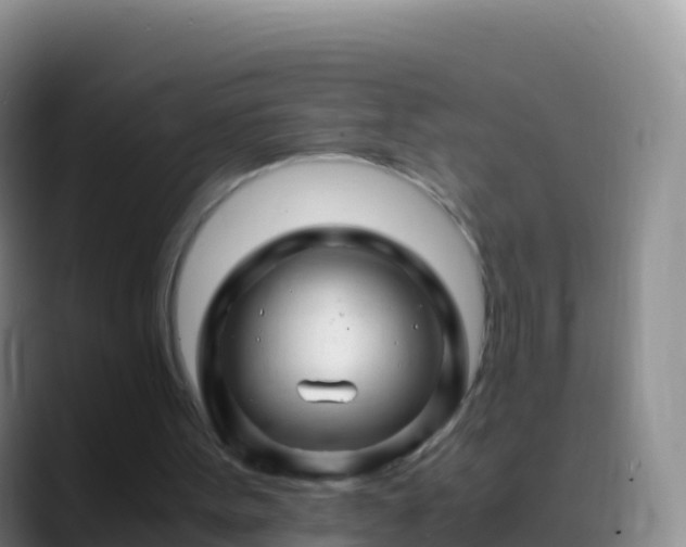 X0000088910099200706151913