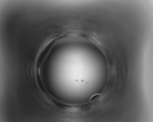 X0000088910102200706151913