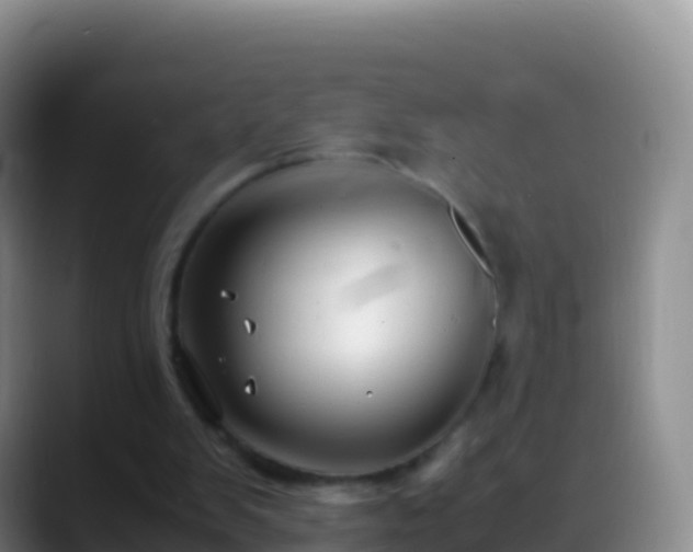 X0000088910103200706151913