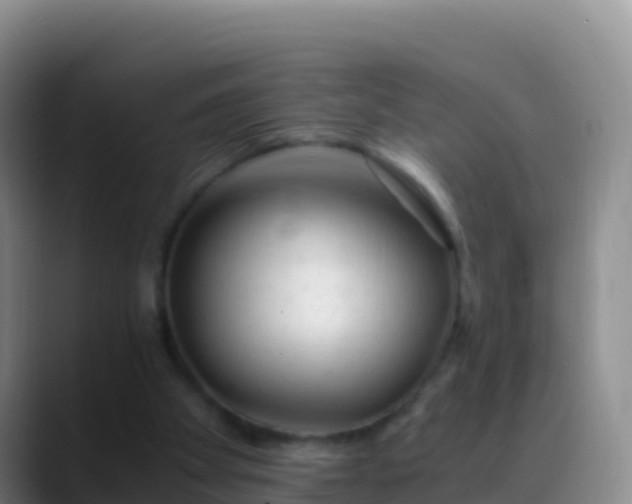 X0000088910105200706151913