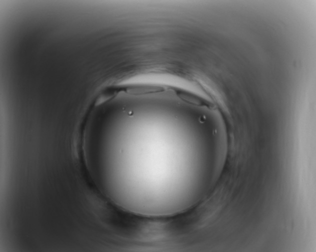 X0000088910107200706151913