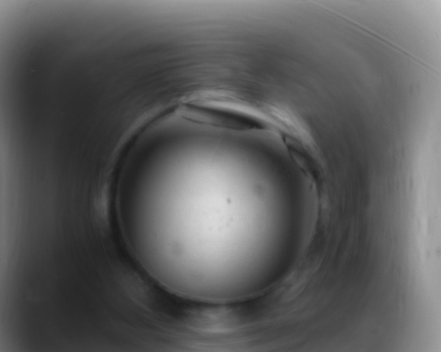 X0000088910108200706151913