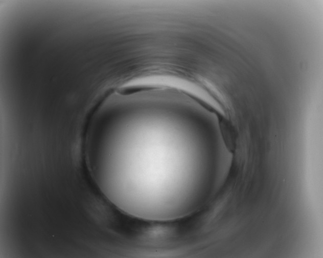 X0000088910111200706151913
