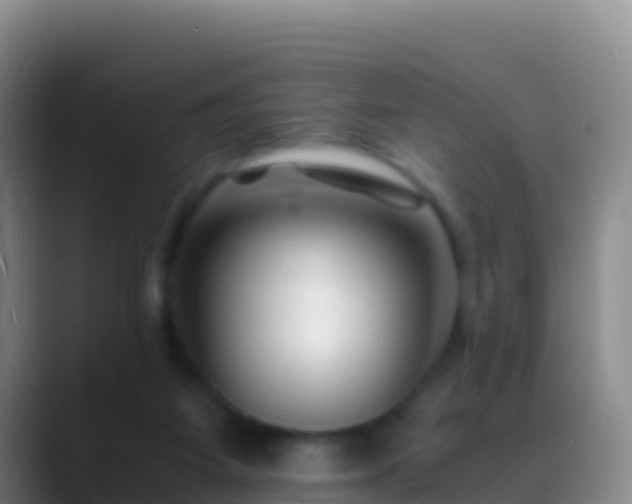 X0000088910115200706151913