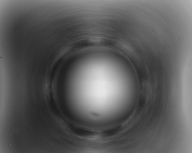 X0000088910116200706151913