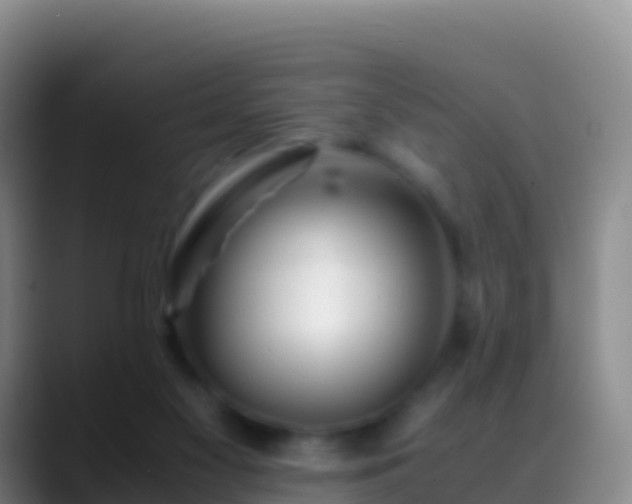 X0000088910117200706151913
