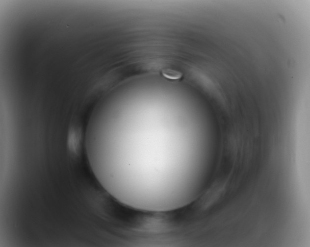 X0000088910118200706151913