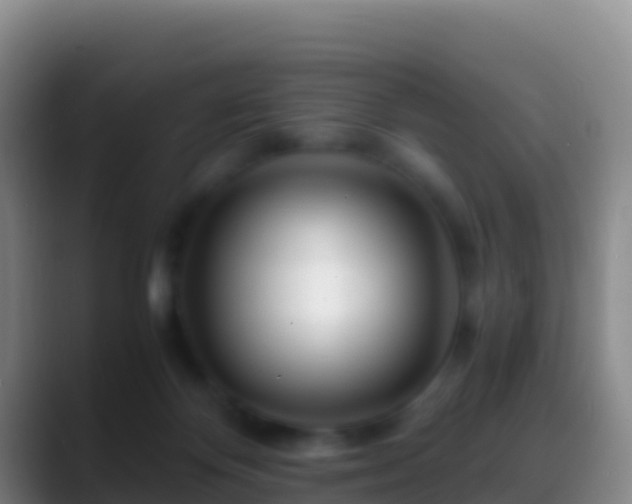 X0000088910124200706151913