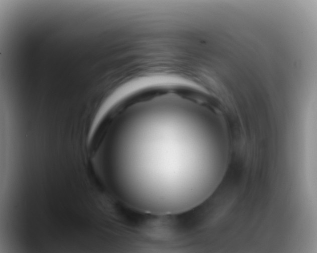 X0000088910125200706151913