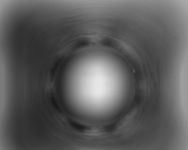 X0000088910129200706151913