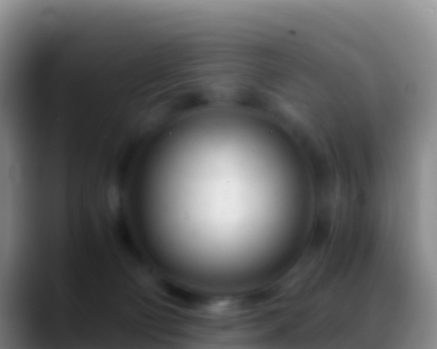 X0000088910130200706151913