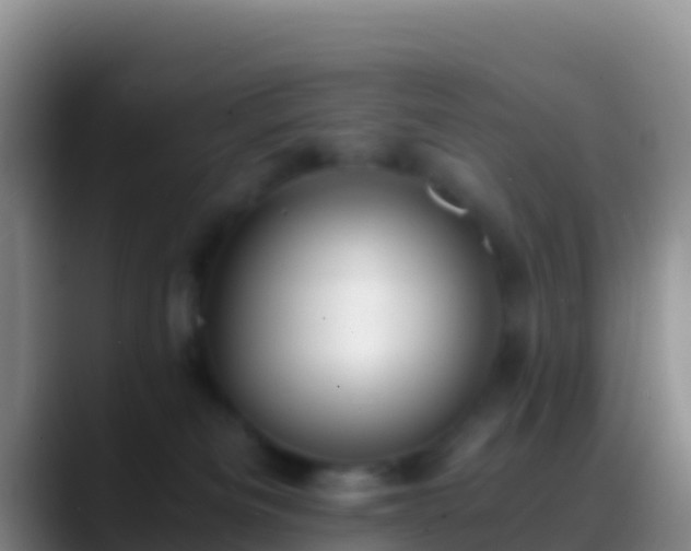 X0000088910133200706151913