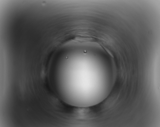 X0000088910135200706151913