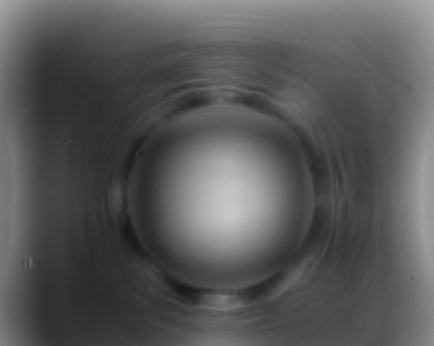 X0000088910139200706151913