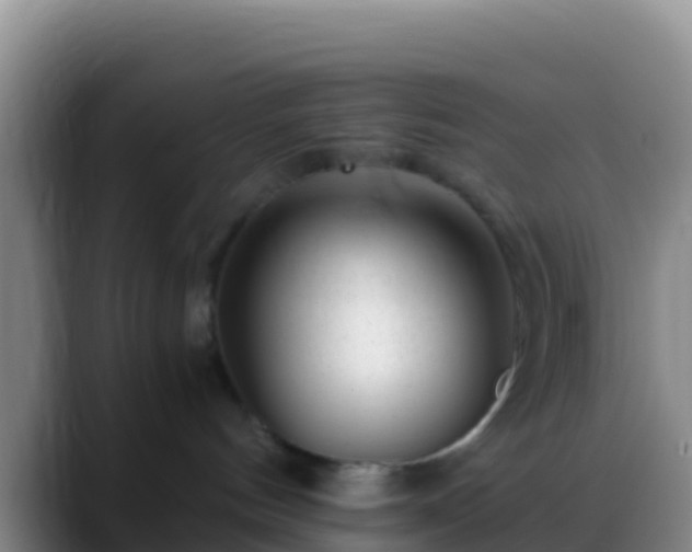 X0000088910144200706151913
