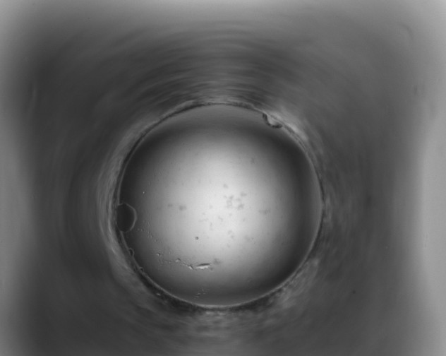 X0000088910145200706151912
