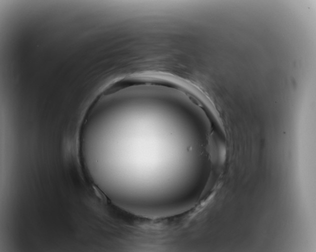 X0000088910148200706151912
