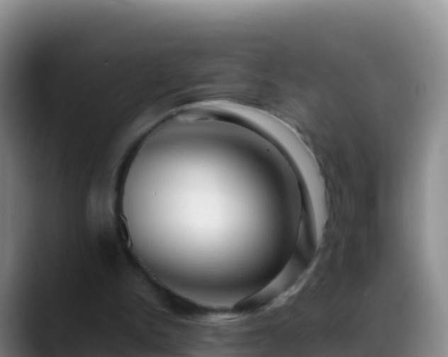 X0000088910150200706151912