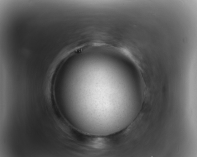 X0000088910151200706151912
