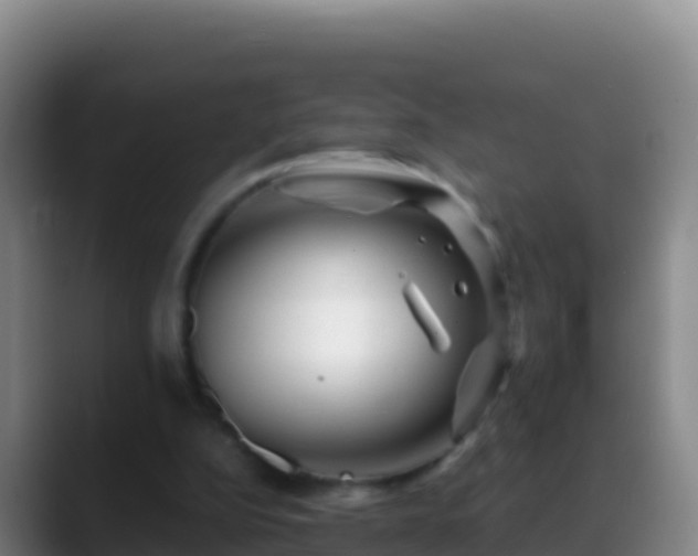 X0000088910152200706151912