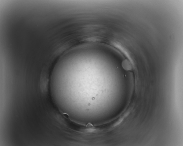 X0000088910153200706151912
