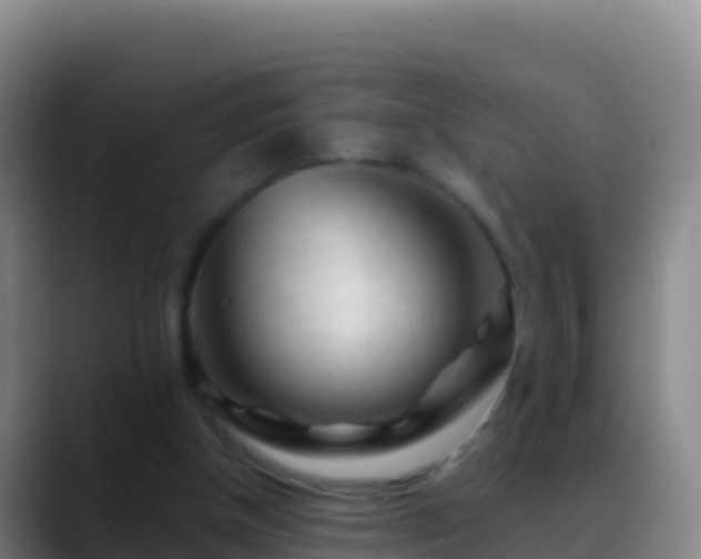 X0000088910154200706151912