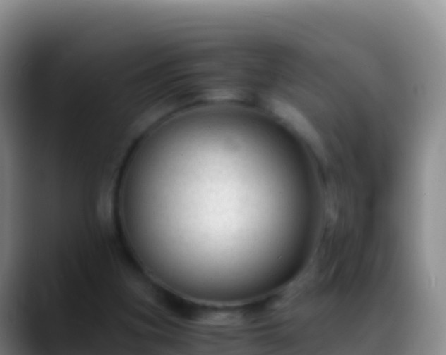 X0000088910155200706151912