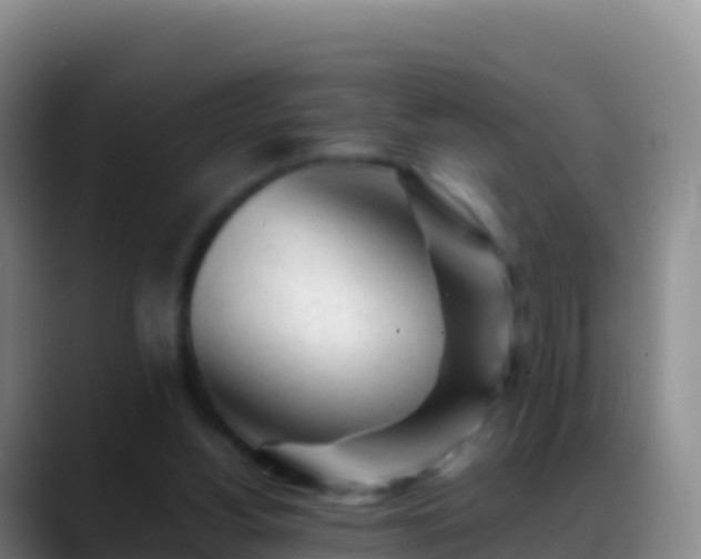 X0000088910156200706151912