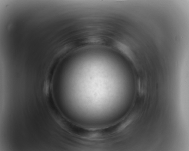 X0000088910157200706151912