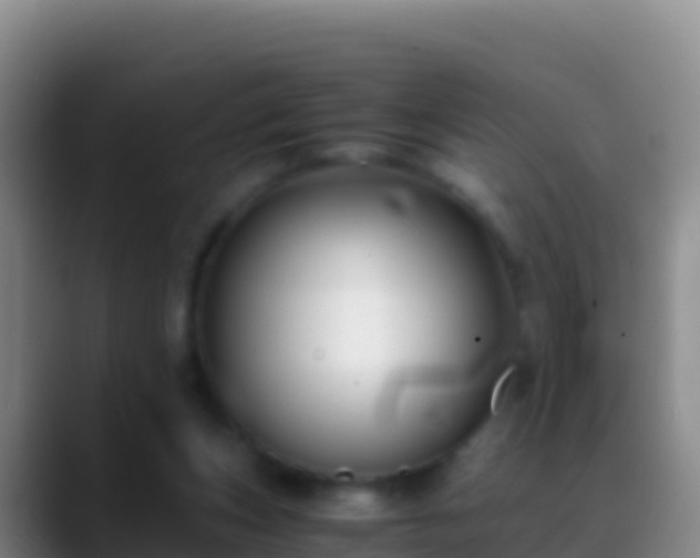 X0000088910159200706151912