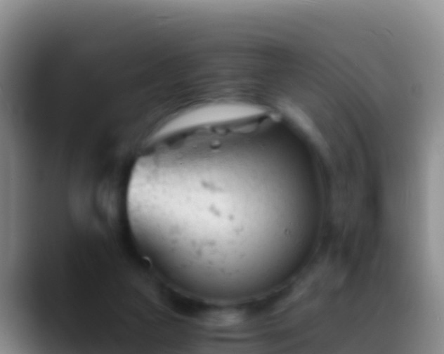 X0000088910161200706151912