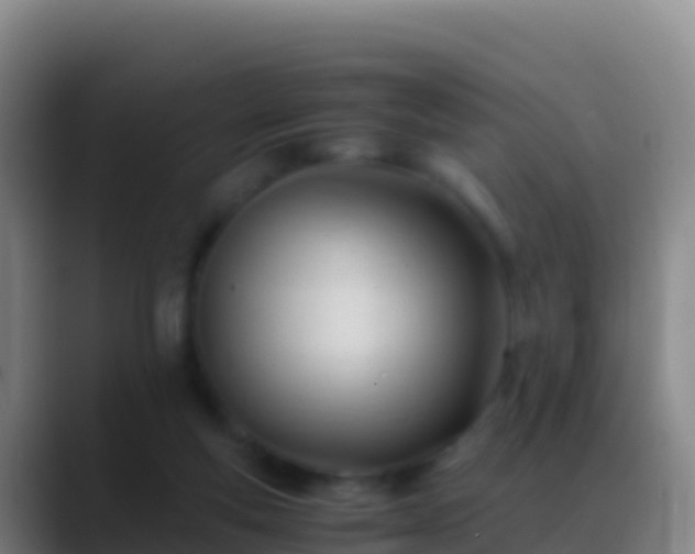 X0000088910163200706151912