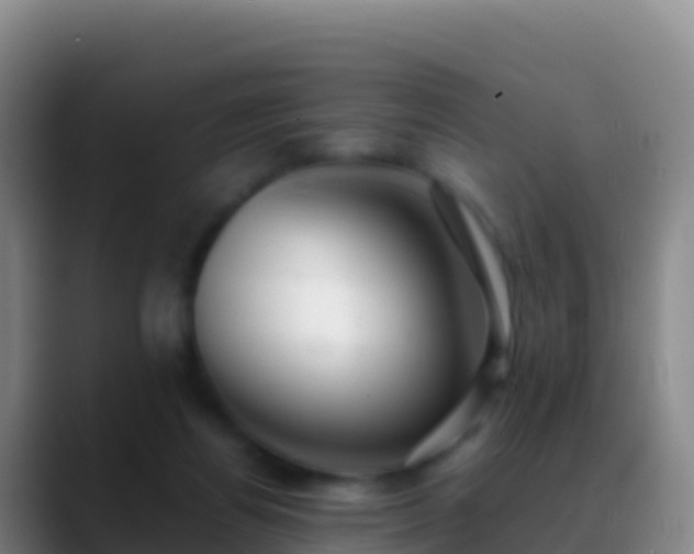 X0000088910164200706151912