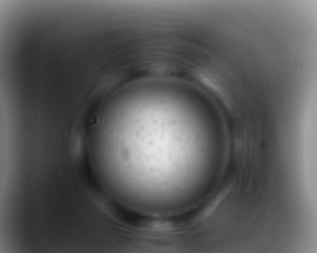 X0000088910165200706151912