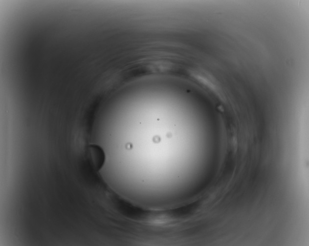 X0000088910169200706151913