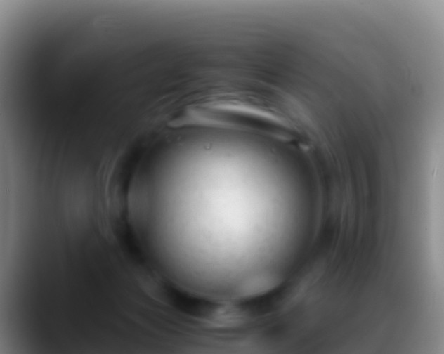 X0000088910173200706151913