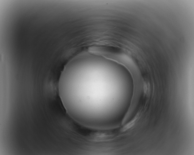 X0000088910180200706151913