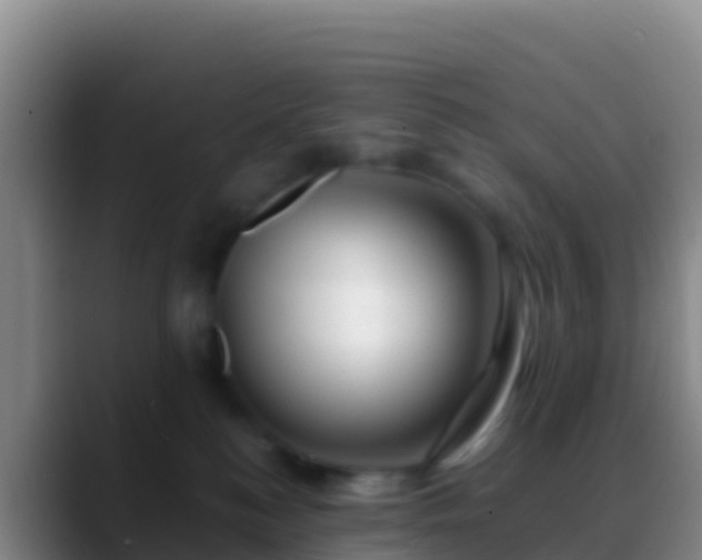 X0000088910184200706151913