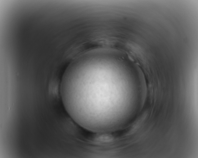 X0000088910185200706151913