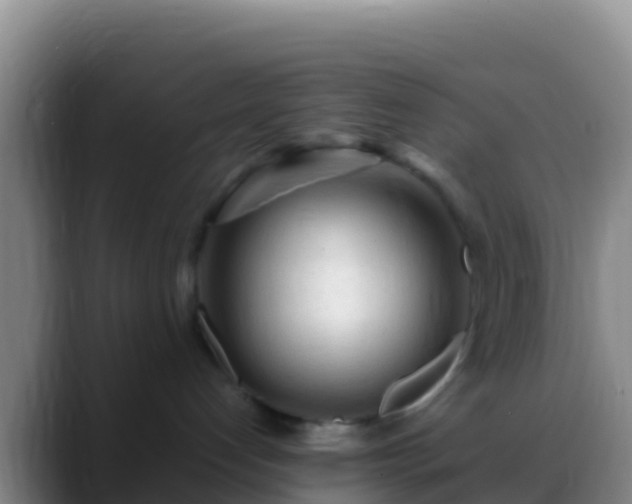 X0000088910192200706151913
