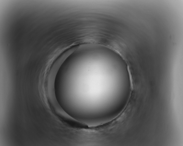 X0000088910193200706151912