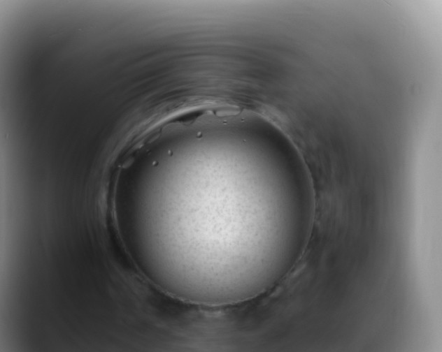 X0000088910194200706151912