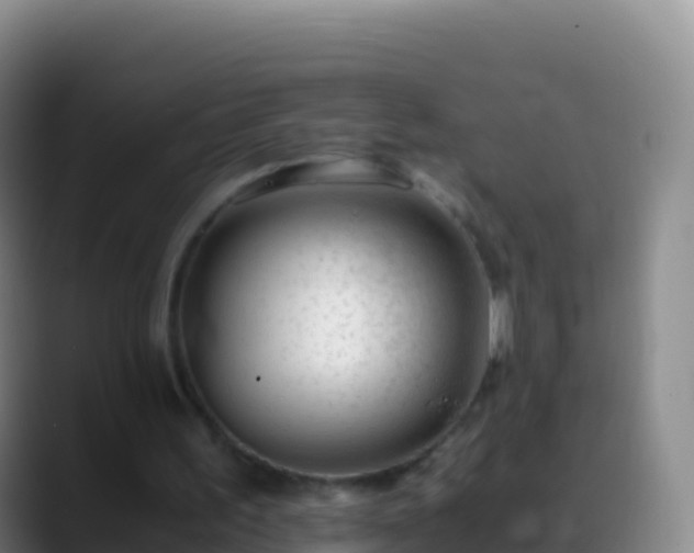 X0000088910195200706151912