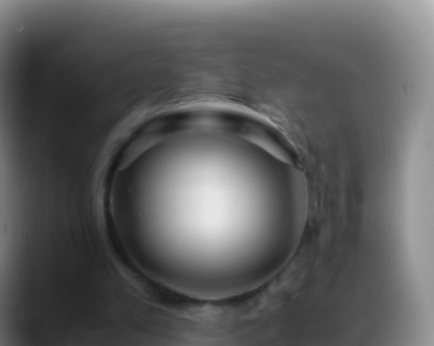 X0000088910197200706151912