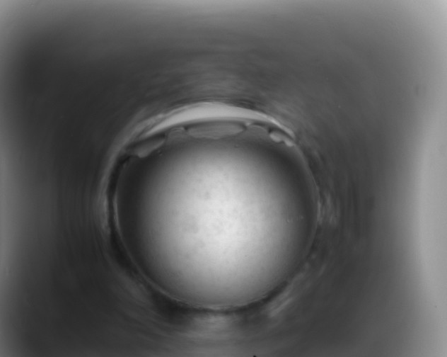 X0000088910198200706151912