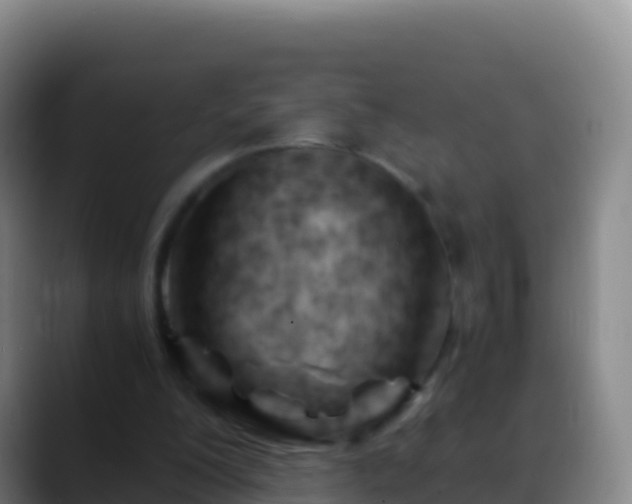 X0000088910200200706151912