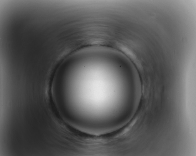 X0000088910201200706151912